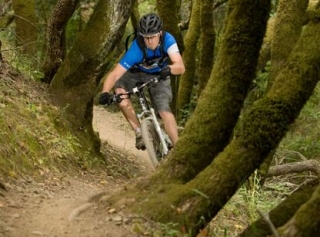  Los mejores sitios BTT 